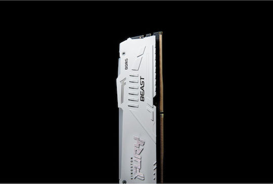 Kingston Fury Beast RGB DDR5 32GB RAM with 2x16GB Modules and Speed 5600 for Desktop