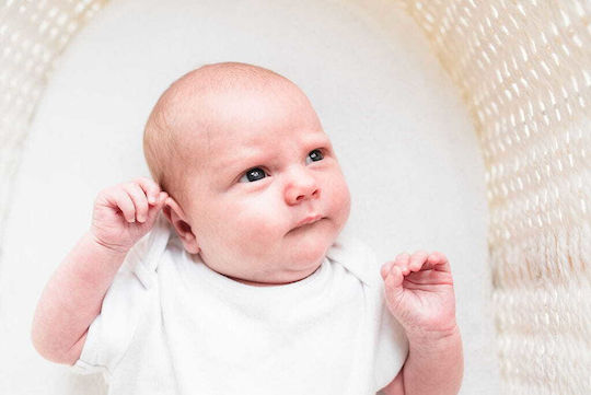Ahobaby Weiß