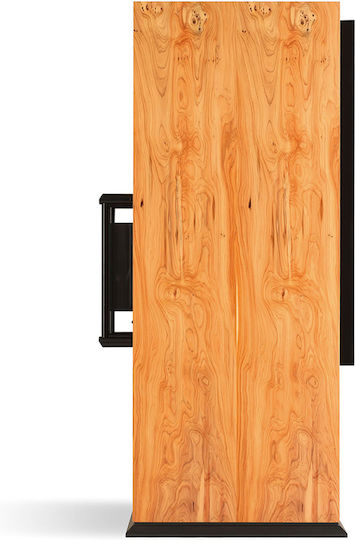 ATC SCM100ASLT Αυτοενισχυόμενα Ηχεία 350W (Ζεύγος) Καφέ