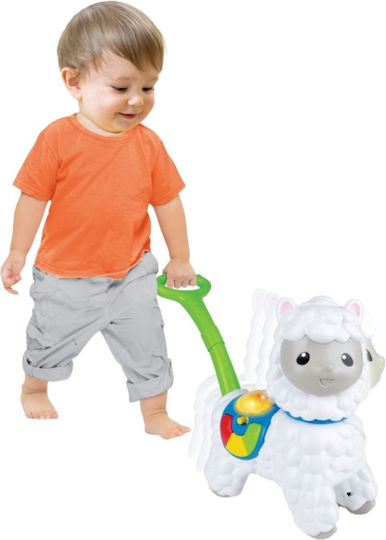 Winfun Baby Toy with Sounds for 12++ Months