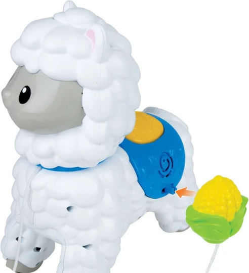 Winfun Baby Toy with Sounds for 12++ Months