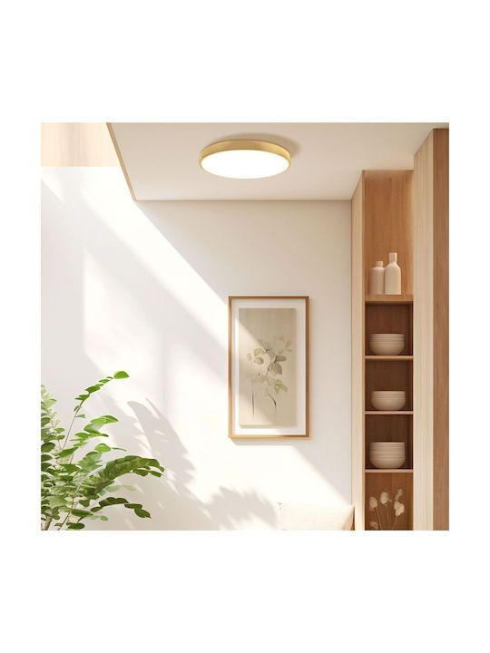 Vivalux Luka Ceiling Mount Light 50cm Gold with Integrated LED