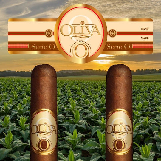 Panora Никарагуа Robusto Пури Никарагуа 1бр 127мм
