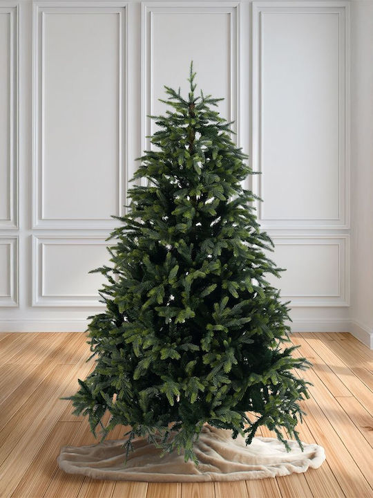Christmas Tree Fraser Fir 210cm with 3420 Branches