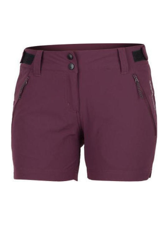 Women's Shorts Purple
