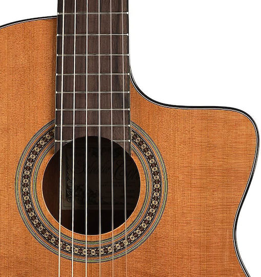 Cc10ce Salvador Cortez Student Series Electro-Classical Guitar