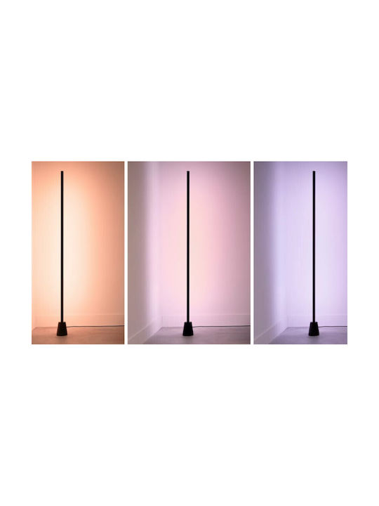 WiZ Floor Lamp Black