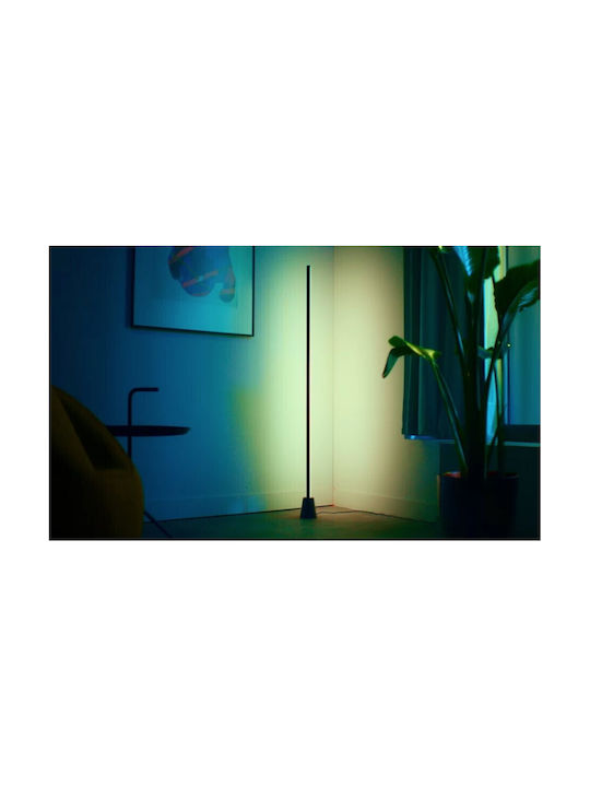 WiZ Floor Lamp Black