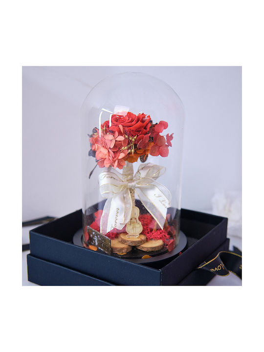 Crazy Love Arrangement Cryogenated Flowers Rose In Glass Dome Gift Box Red
