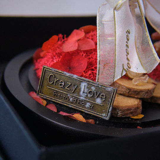Crazy Love Arrangement Gefrorene Blumen Rose In Glasskugel Geschenkbox Rot