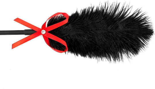 Fetish B-series Tickler & Whip 2.0