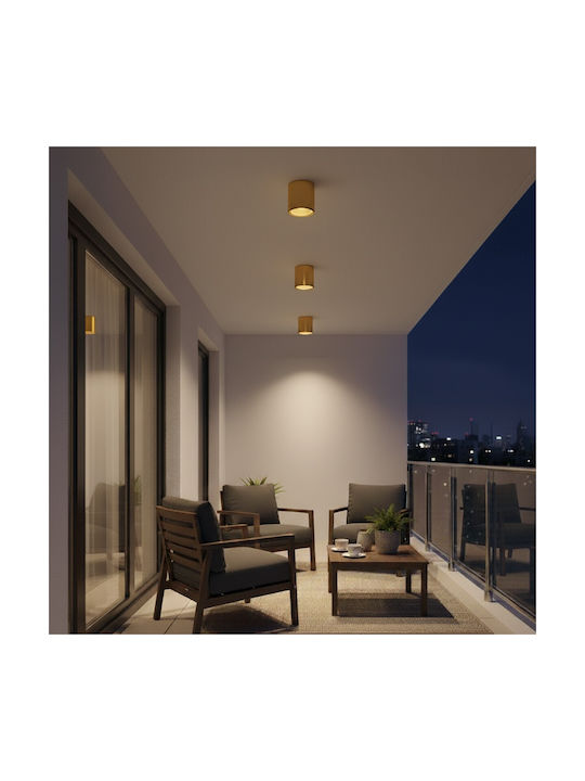 kelvo Maretti Spot with 10 Lights and with Socket GU10 in Gold Color