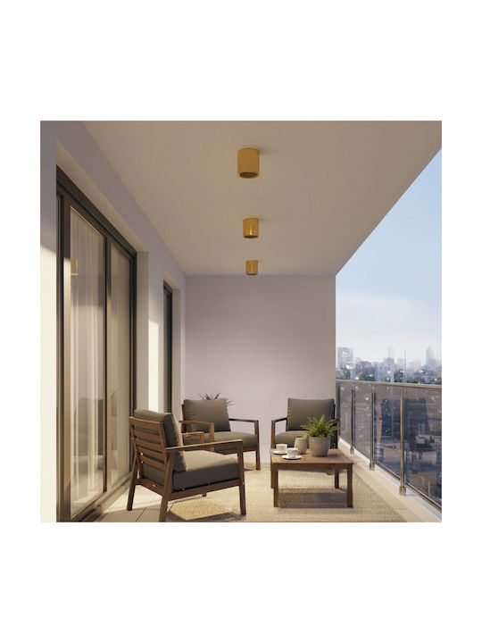 kelvo Maretti Spot with 10 Lights and with Socket GU10 in Gold Color
