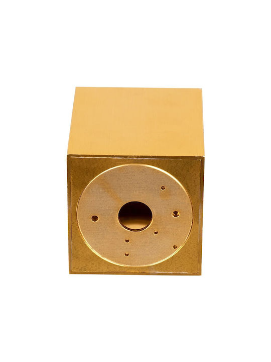 kelvo Akira Spot with Socket GU10 in Gold Color
