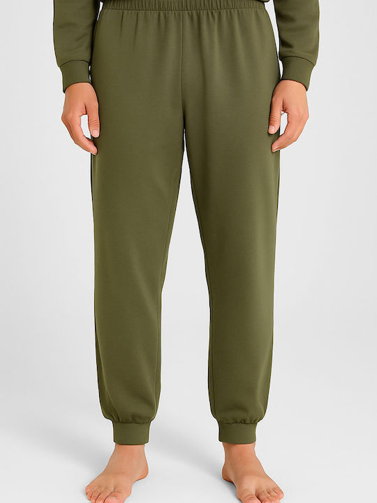 Lion Olive