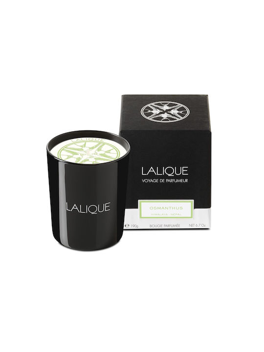 Lalique Lumânare Aromatică Osmanthus Himalaya Nepal Borcan Cu Miros Osmanthus 190gr