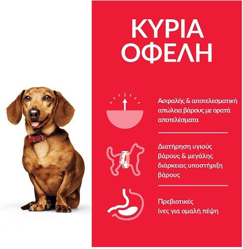 Hill's Vet Essentials Canine Multi 2kg Dry Food for Adult Neutered Medium Breed Dogs with Chicken, Tuna, Turkey, Poultry and Pork
