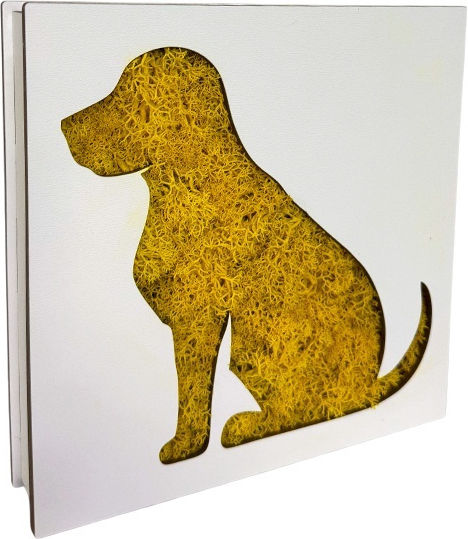 Loyal Friend Pictură Licheni Naturali Stabilizați Galbeni