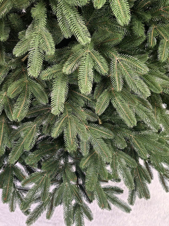Weihnachtsbaum Laponia 180cm mit 629 Zweige