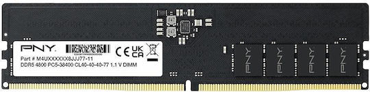 PNY Performance Bulk DDR5 with Module 1x16GB and Speed 4800 for Desktop