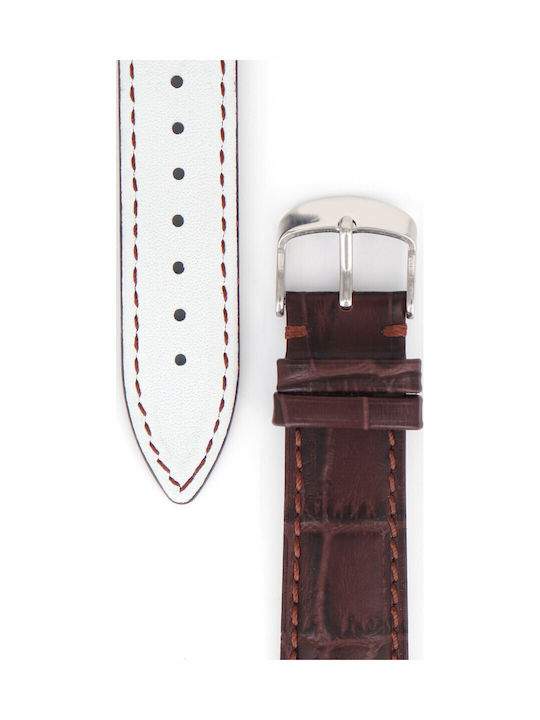 Diloy Straps 424