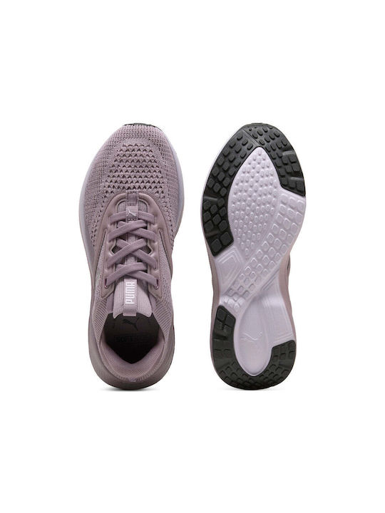 Softride Mayve Sport Shoes Running Plum / Lilac