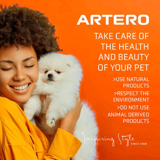 Επαγγελματικό Σπρέι Ταλκ Ξηρό Σαμπουάν Artero Speed Dry Shampoo 300ml