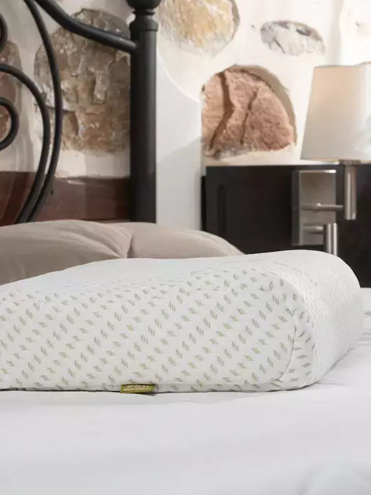 Alpha Foam Deluxe Aloe Vera Sleep Pillow Memory Foam 36x55x13cm