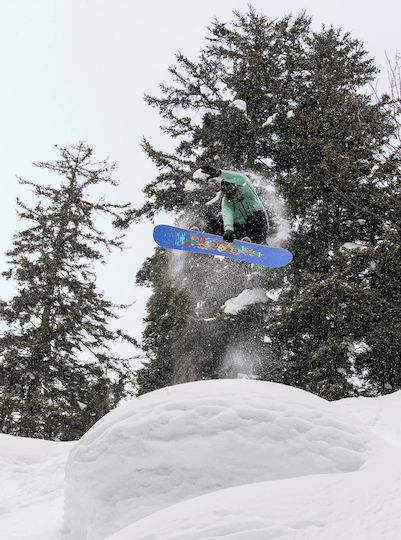 Burton Counterbalance Camber Snowboard Hallucinate