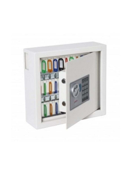 Phoenix Safe Company Wall-mounted Combination Key Holder Metallic with Lock 30 Hooks