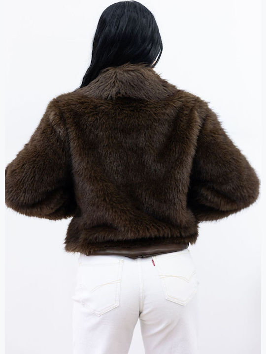 Women's Short Fur Brown