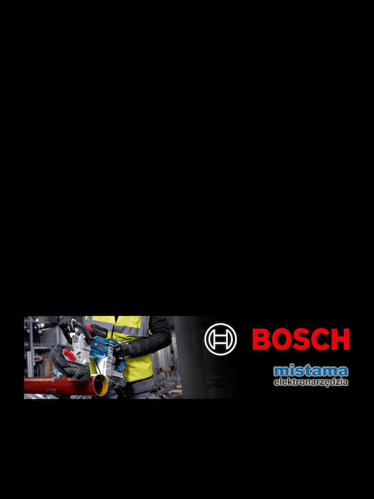 Bosch Pro 2608649007 Λάμες 2τμχ