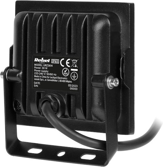 Rebel Στεγανός Προβολέας LED 30W Φυσικό Λευκό 4000K IP65