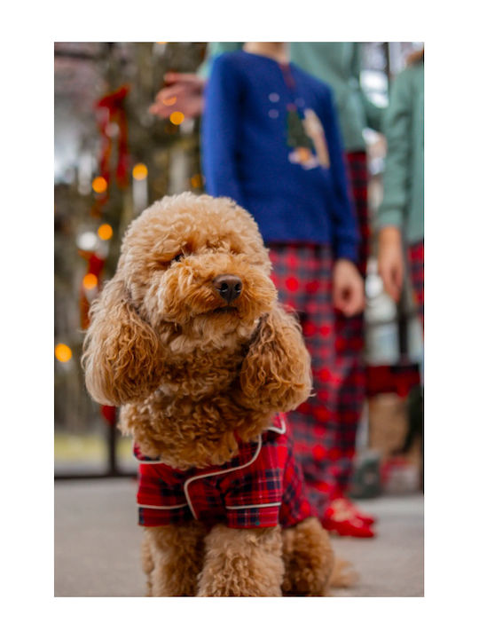 Noidinotte Cotton Red Checked Buttoned Dog Romper Code Tr1460