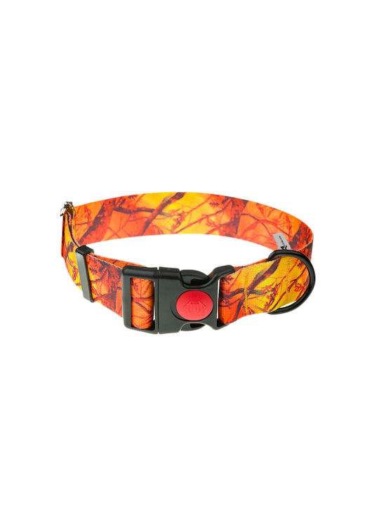 4wild Guler Pentru Câini Cu Curea 40 Mm 39-61 Cm Camuflaj Portocaliu