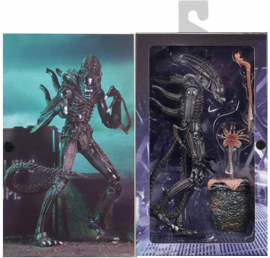 Neca Alien Alien Warrior & Egg Face Hugger 1986 Action Figure Height 23cm Scale 1:10