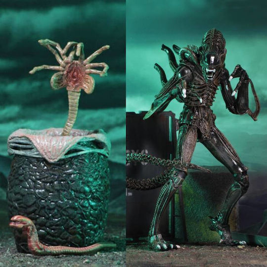 Neca Alien Alien Warrior & Egg Face Hugger 1986 Action Figure Height 23cm Scale 1:10