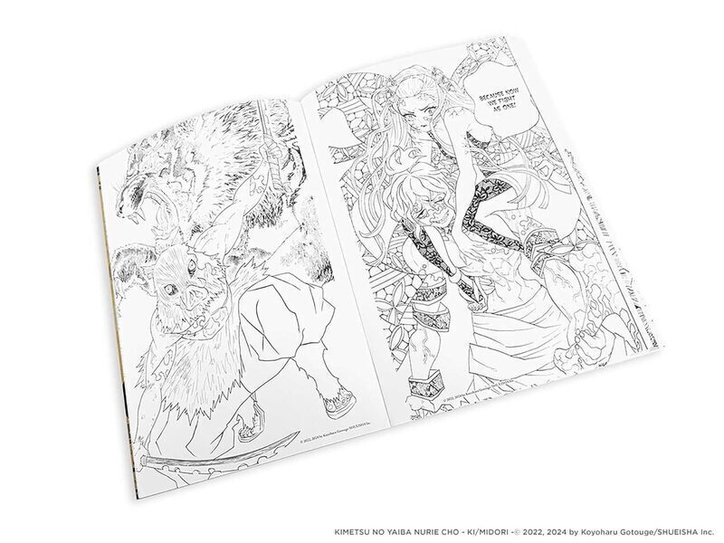 Viz Media Demon Slayer Carte De Colorat | Skroutz Romania