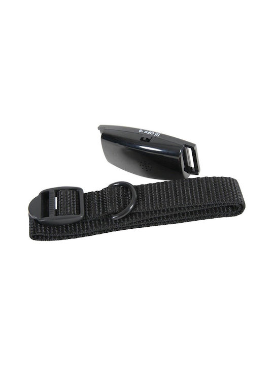 Zolux Hundehalsband in Schwarz Farbe Klein