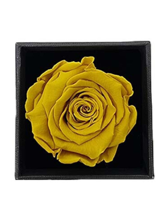 Velve Pin Blume Gelb