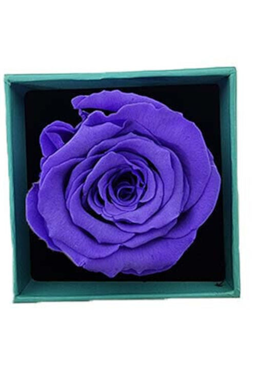 Velve Pin Blume Lila