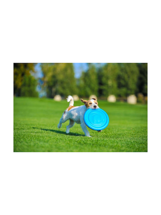 Doggy Village Frisbee Σκύλου Μπλε 1τμχ