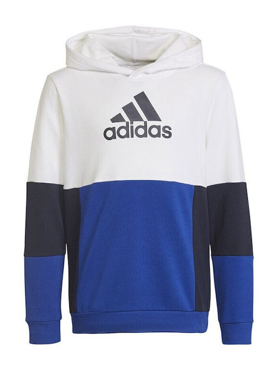 Kinder-Sweatshirt mit Kapuze Mehrfarbig Colorblock