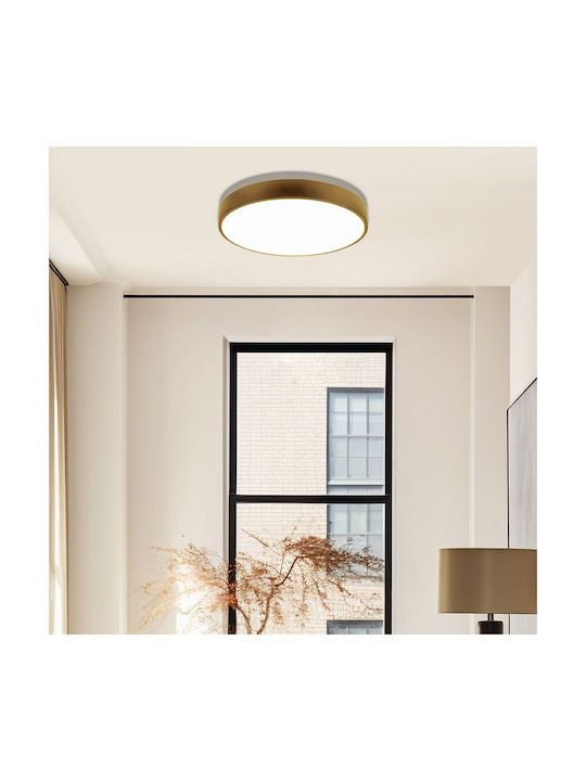 Vivalux Luka Ceiling Mount Light 50cm Gold with Integrated LED