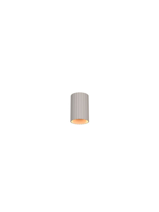 Trio Lighting Imaria Modern Leuchte Wand mit Fassung G9 Gray 8x12cm