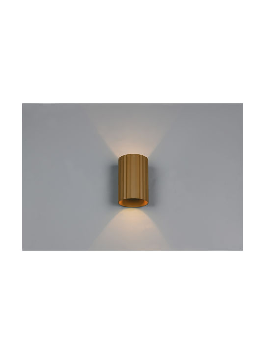Trio Lighting Imaria Modern Leuchte Wand mit Fassung G9 Braun 8x12cm