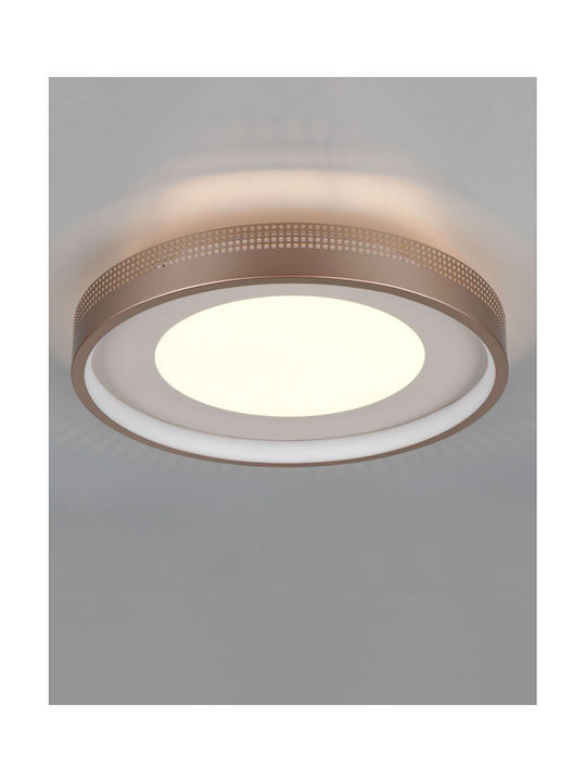 Trio Lighting 6566101 Trio Lighting 6566101