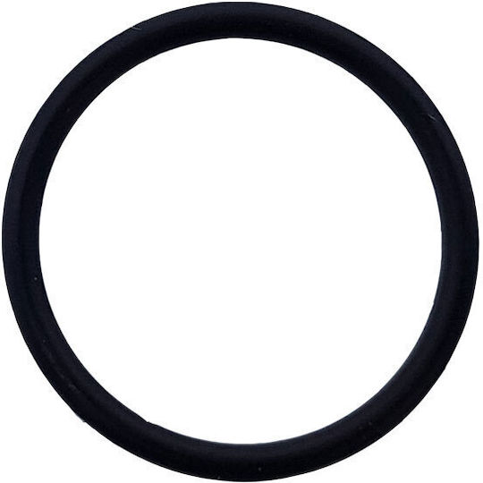 Honda Oil Filter Seal