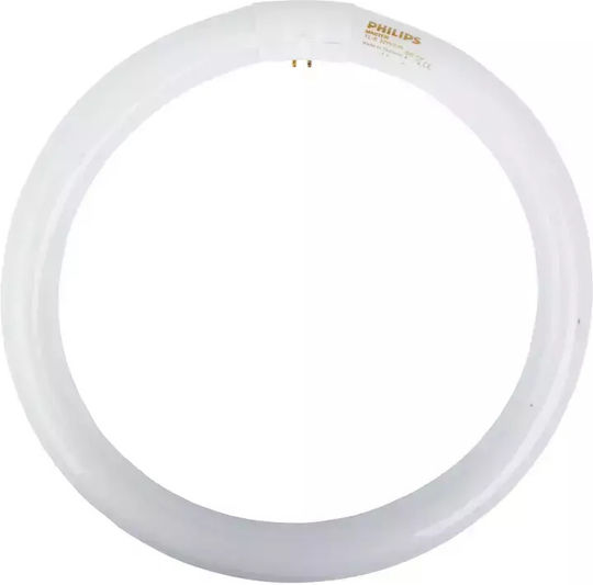Philips Fluorescent Lamp for Socket G10Q with Shape T9 32W