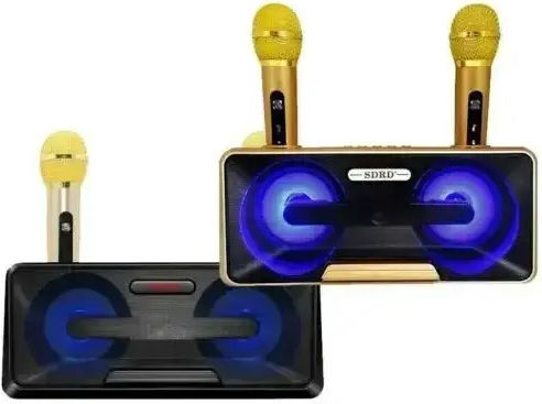 Karaoke Speaker with Wireless Microphones and Lighting Effects SD-301 Gold